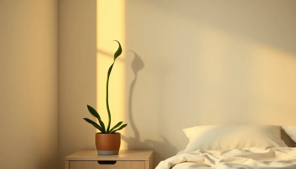 Bogenhanf: Die beste Pflanze fürs Schlafzimmer